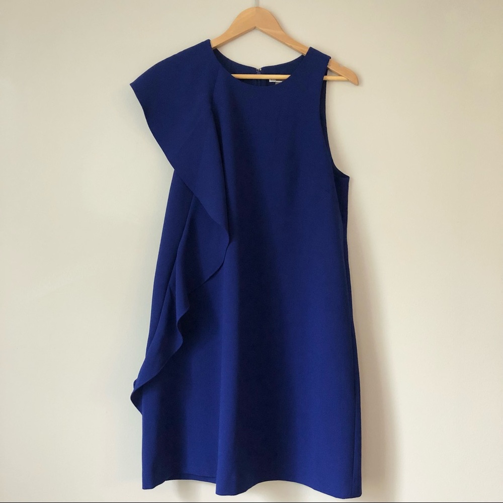 Asymmetrical Ruffle Shift Dress (Only Worn Once!)